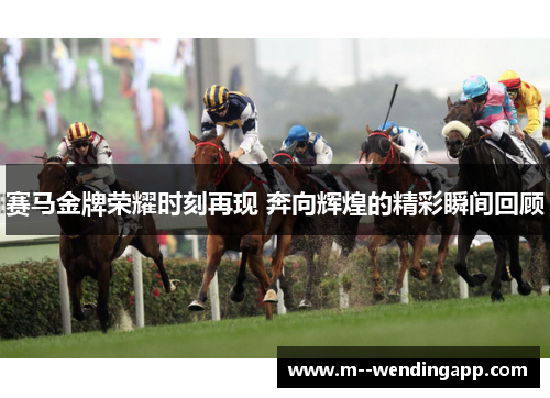 赛马金牌荣耀时刻再现 奔向辉煌的精彩瞬间回顾