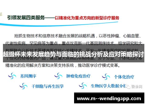 超级杯未来发展趋势与面临的挑战分析及应对策略探讨
