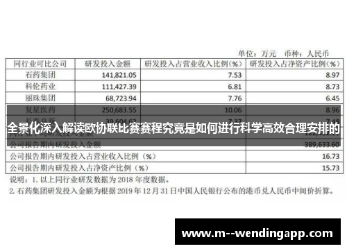 全景化深入解读欧协联比赛赛程究竟是如何进行科学高效合理安排的
