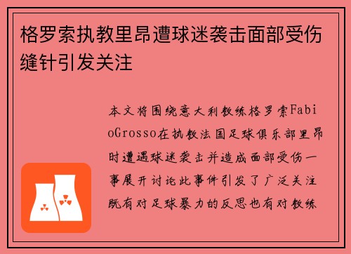 格罗索执教里昂遭球迷袭击面部受伤缝针引发关注